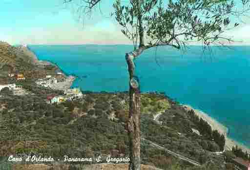 scansione0123.jpg - E' vietata la riproduzione e la diffusione, con qualsiasi mezzo e forma, delle immagini e dei dati contenuti del sito www.capodorlandoweb.it. I contenuti pubblicati sul sito, non possono essere replicati su altri siti web, mailing list, newsletter, riviste cartacee, cdrom/dvd senza la preventiva autorizzazione da parte dei rispettivi proprietari, indipendentemente dalle finalità di lucro.